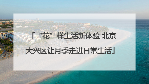 “花”样生活新体验 北京大兴区让月季走进日常生活