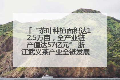 “茶叶种植面积达12.5万亩，全产业链产值达57亿元” 浙江武义茶产业全链发展“加速度”