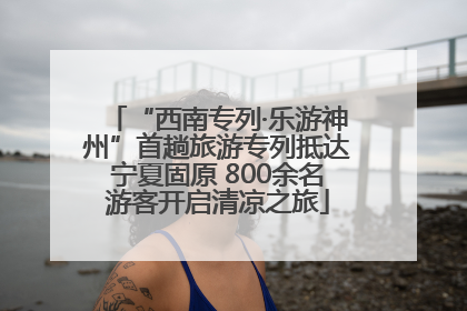 “西南专列·乐游神州”首趟旅游专列抵达宁夏固原 800余名游客开启清凉之旅