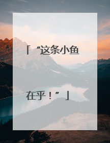 “这条小鱼在乎！”