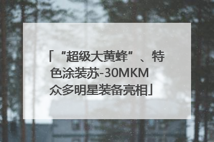 “超级大黄蜂”、特色涂装苏-30MKM 众多明星装备亮相