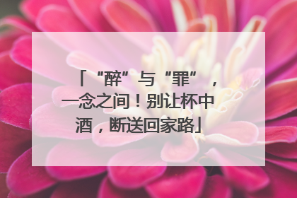 “醉”与“罪”，一念之间！别让杯中酒，断送回家路