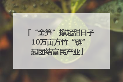 “金笋”撑起甜日子 10万亩方竹“链”起团结富民产业