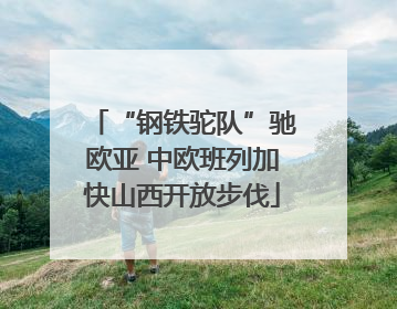 “钢铁驼队”驰欧亚 中欧班列加快山西开放步伐