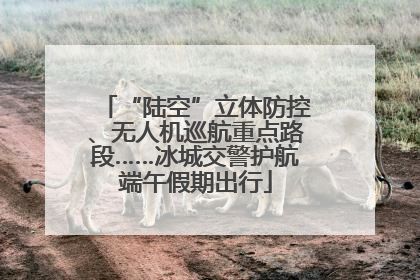 “陆空”立体防控、无人机巡航重点路段……冰城交警护航端午假期出行
