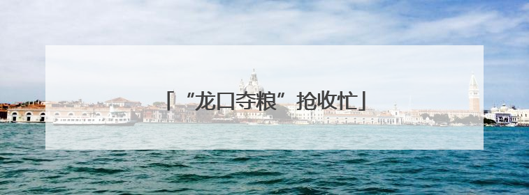 “龙口夺粮”抢收忙