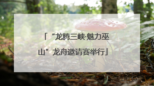 “龙腾三峡·魅力巫山”龙舟邀请赛举行