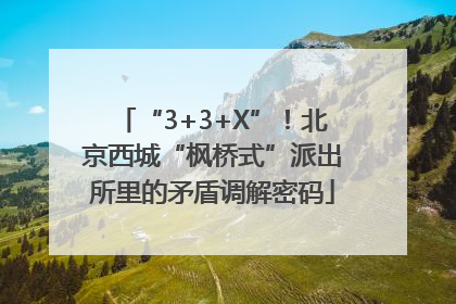 “3+3+X”！北京西城“枫桥式”派出所里的矛盾调解密码