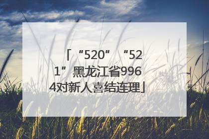 “520”“521”黑龙江省9964对新人喜结连理