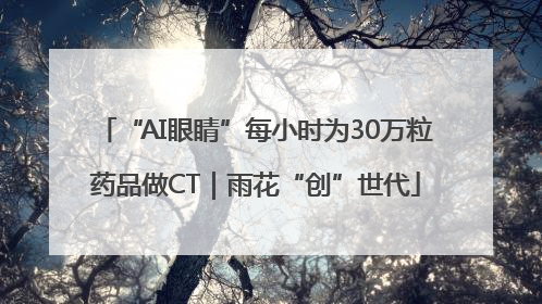 “AI眼睛”每小时为30万粒药品做CT｜雨花“创”世代