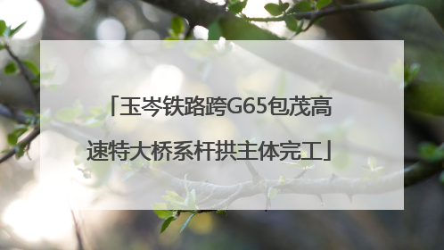 玉岑铁路跨G65包茂高速特大桥系杆拱主体完工