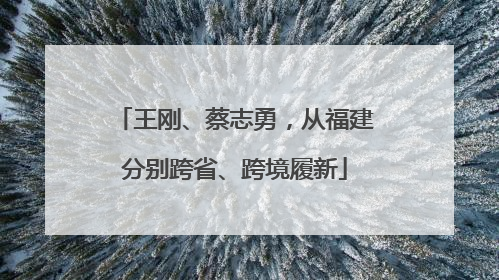 王刚、蔡志勇，从福建分别跨省、跨境履新