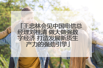 王忠林会见中国电信总经理刘桂清 做大做强数字经济 打造发展新质生产力的强劲引擎
