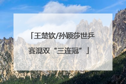 王楚钦/孙颖莎世乒赛混双“三连冠”