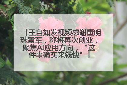 王自如发视频感谢董明珠雷军，称将再次创业，聚焦AI应用方向，“这件事确实来钱快”
