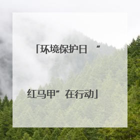 环境保护日 “红马甲”在行动