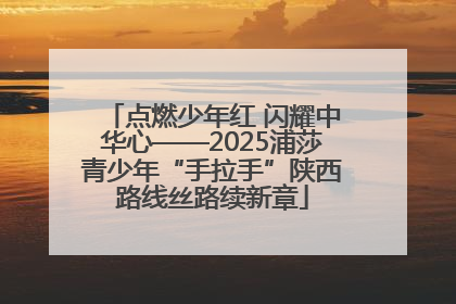 点燃少年红 闪耀中华心——2025浦莎青少年“手拉手”陕西路线丝路续新章