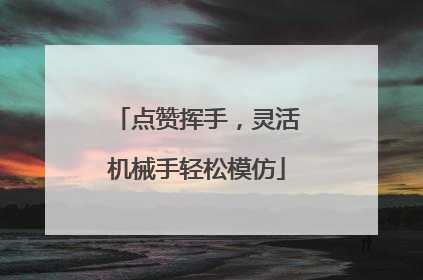 点赞挥手，灵活机械手轻松模仿