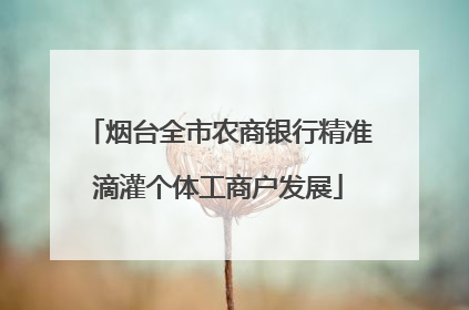 烟台全市农商银行精准滴灌个体工商户发展
