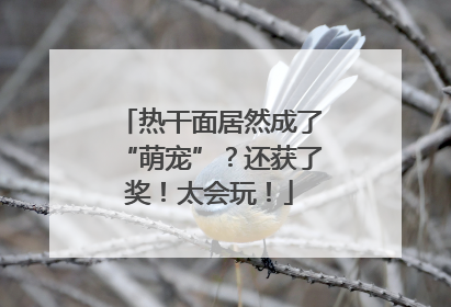 热干面居然成了“萌宠”？还获了奖！太会玩！
