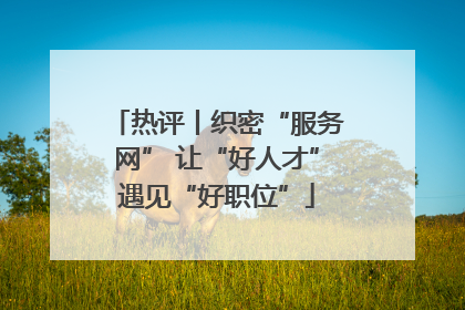 热评丨织密“服务网” 让“好人才”遇见“好职位”