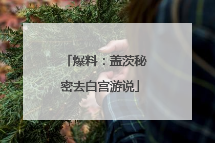 爆料：盖茨秘密去白宫游说