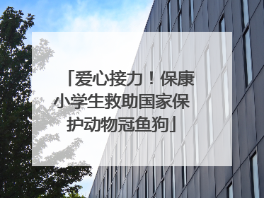 爱心接力！保康小学生救助国家保护动物冠鱼狗