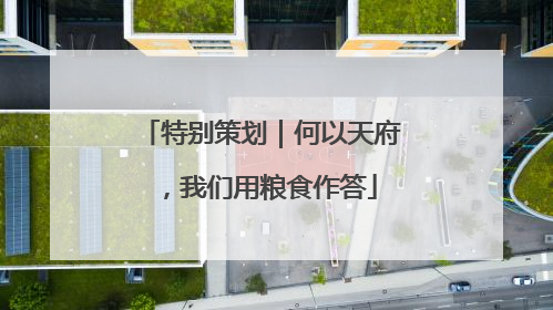 特别策划｜何以天府，我们用粮食作答