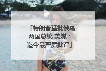 特朗普猛批俄乌两国总统 美媒：迄今最严厉批评