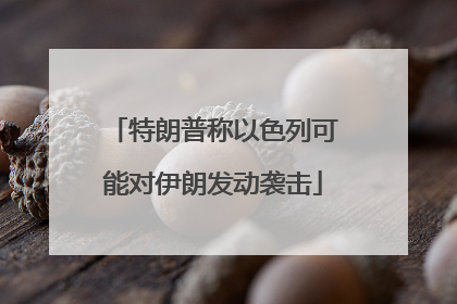 特朗普称以色列可能对伊朗发动袭击