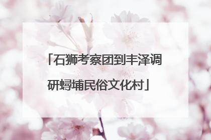 石狮考察团到丰泽调研蟳埔民俗文化村