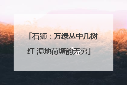 石狮：万绿丛中几树红 湿地荷塘韵无穷