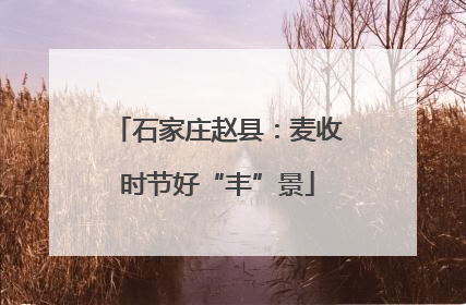 石家庄赵县：麦收时节好“丰”景