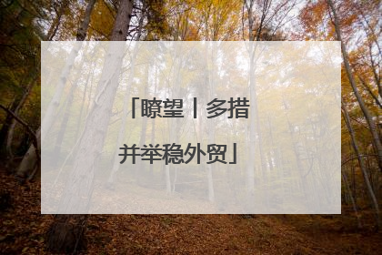 瞭望丨多措并举稳外贸