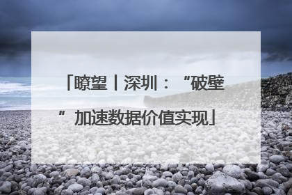 瞭望丨深圳：“破壁”加速数据价值实现
