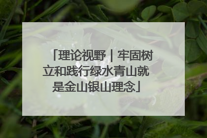 理论视野｜牢固树立和践行绿水青山就是金山银山理念