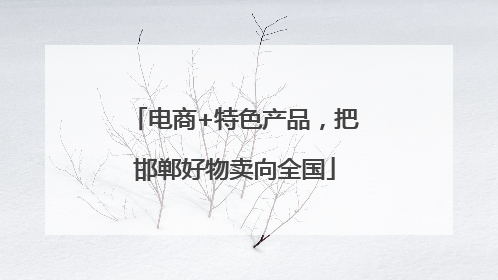 电商+特色产品，把邯郸好物卖向全国