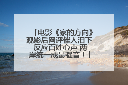 电影《家的方向》观影后网评催人泪下 反应百姓心声 两岸统一成最强音！