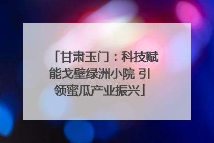 甘肃玉门：科技赋能戈壁绿洲小院 引领蜜瓜产业振兴