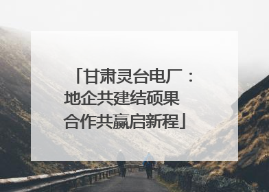 甘肃灵台电厂：地企共建结硕果 合作共赢启新程