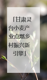 甘肃灵台小麦产业点燃乡村振兴新引擎