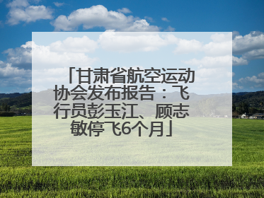 甘肃省航空运动协会发布报告：飞行员彭玉江、顾志敏停飞6个月