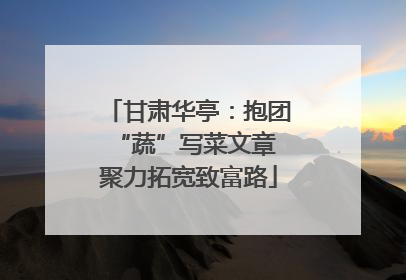 甘肃华亭：抱团“蔬”写菜文章 聚力拓宽致富路