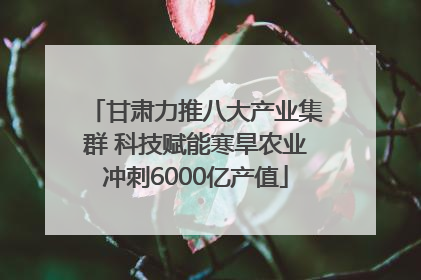 甘肃力推八大产业集群 科技赋能寒旱农业冲刺6000亿产值