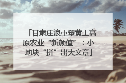 甘肃庄浪重塑黄土高原农业“新颜值”：小地块“拼”出大文章