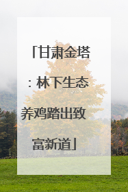 甘肃金塔：林下生态养鸡踏出致富新道