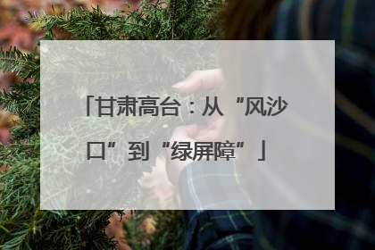 甘肃高台：从“风沙口”到“绿屏障”