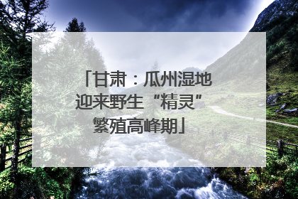 甘肃：瓜州湿地迎来野生“精灵”繁殖高峰期