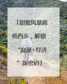 甜蜜风暴席卷西乡，解锁“浪漫+经济”新密码
