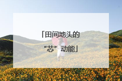 田间地头的“芯”动能